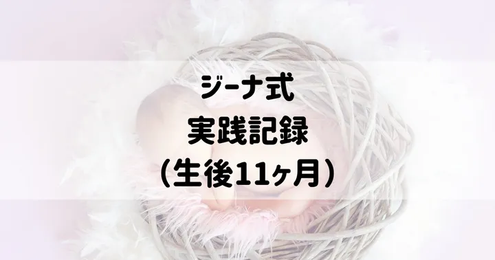ジーナ式：実践記録（生後11ヶ月）
