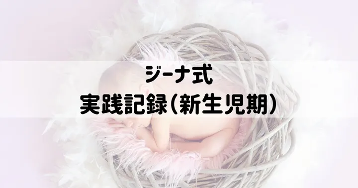 ジーナ式：実践記録（新生児期）